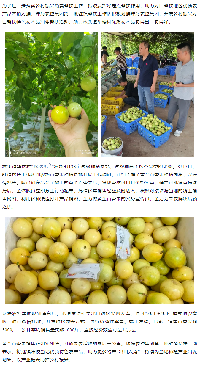 pornHD
助力产销对接 对口帮扶果香飘百里.png